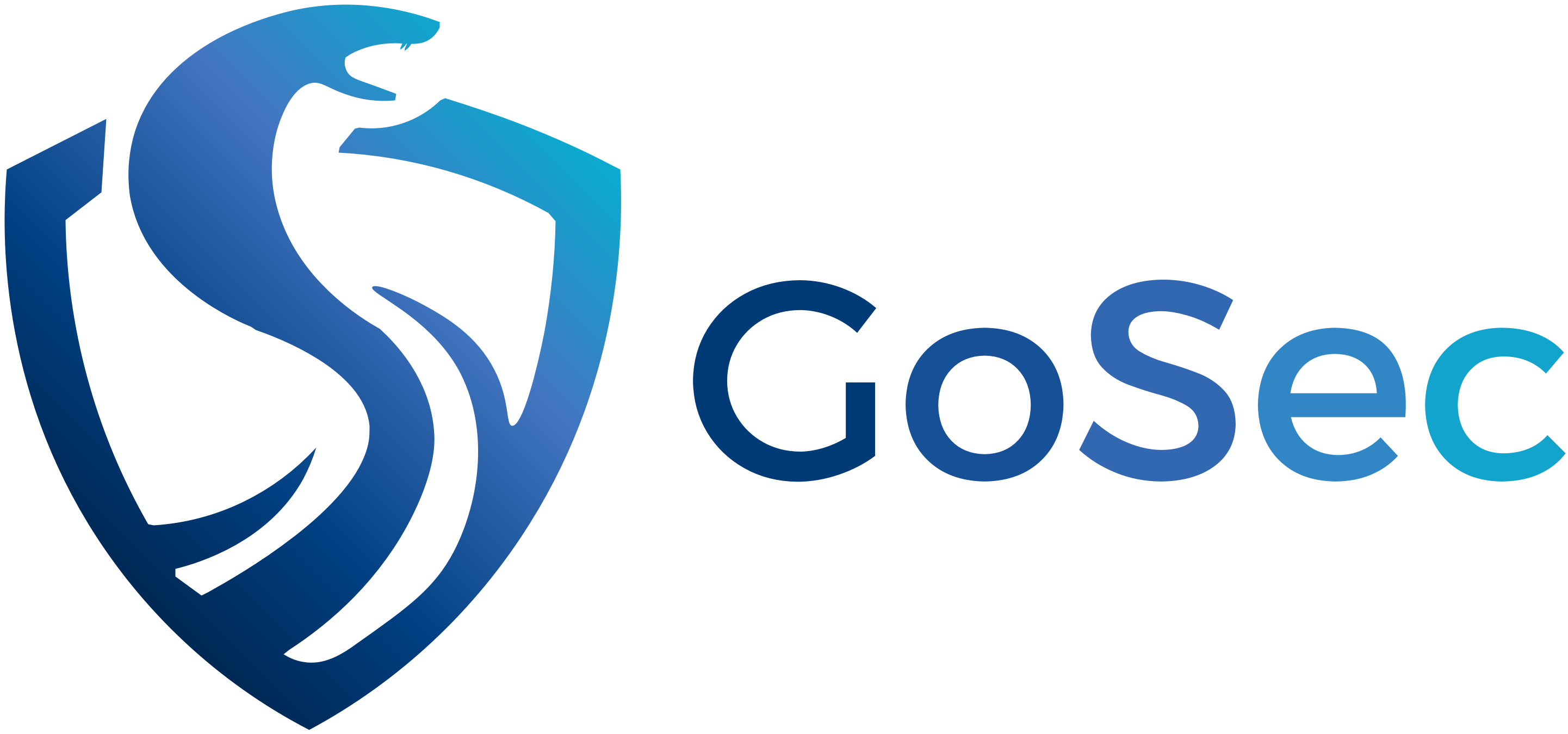 GoSec